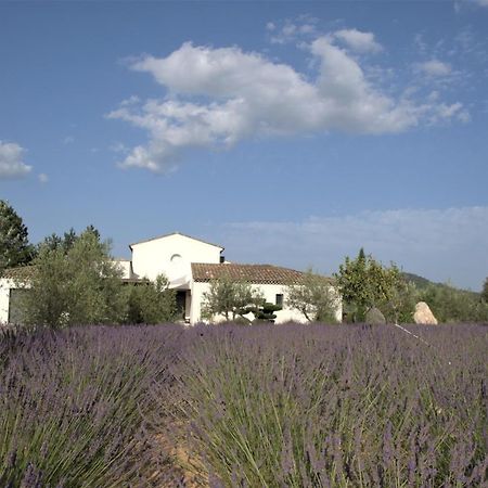 Villa Otilia-Bed And Breakfast-Chambres D'Hotes En Provence Rians  외부 사진
