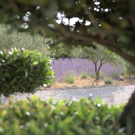 Villa Otilia-Bed And Breakfast-Chambres D'Hotes En Provence Rians  외부 사진