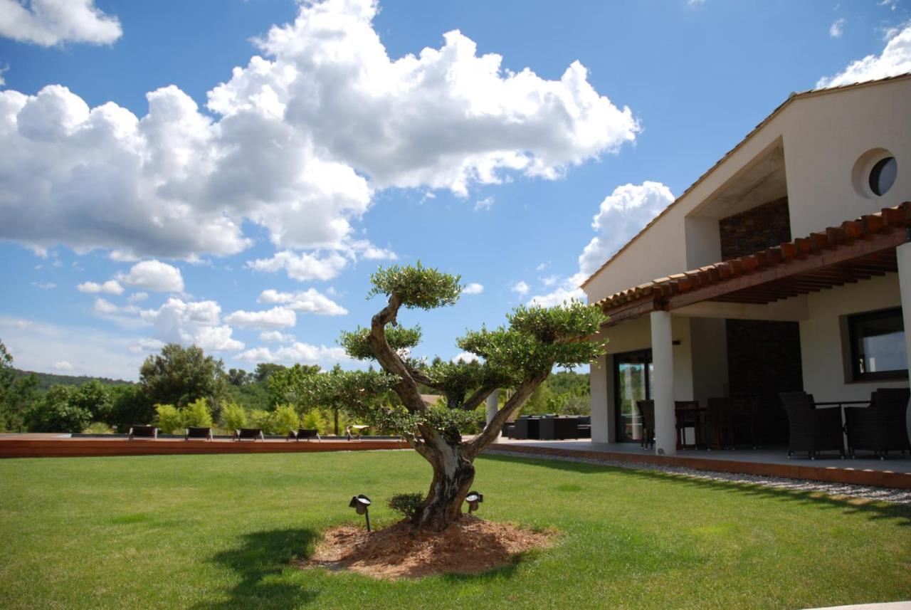 Villa Otilia-Bed And Breakfast-Chambres D'Hotes En Provence Rians  외부 사진