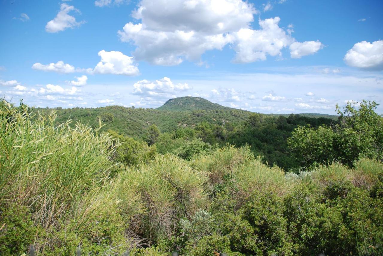 Villa Otilia-Bed And Breakfast-Chambres D'Hotes En Provence Rians  외부 사진