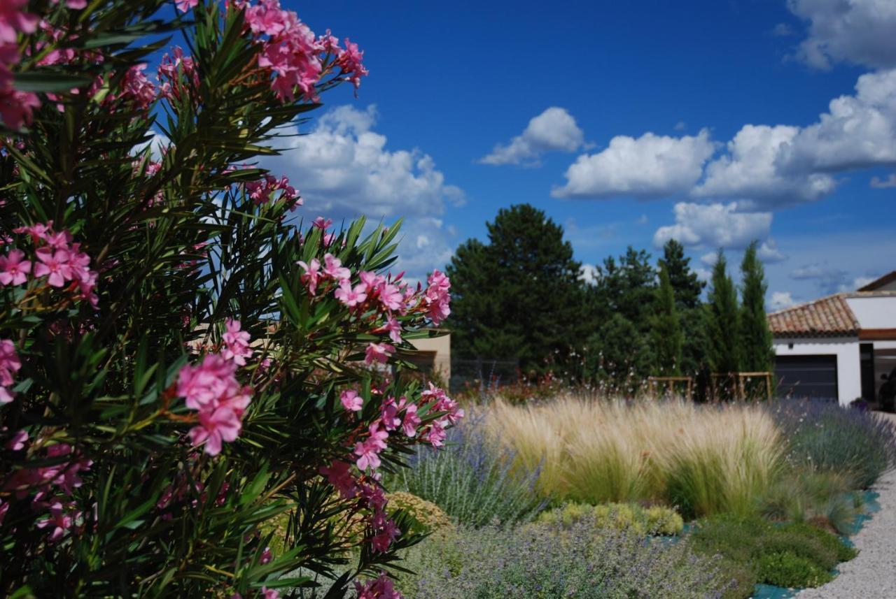 Villa Otilia-Bed And Breakfast-Chambres D'Hotes En Provence Rians  외부 사진