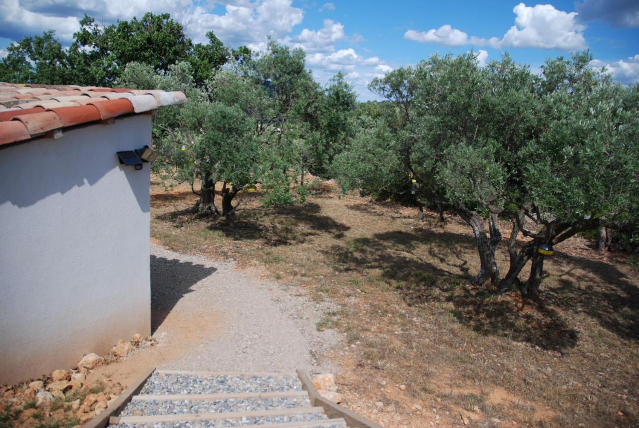 Villa Otilia-Bed And Breakfast-Chambres D'Hotes En Provence Rians  외부 사진
