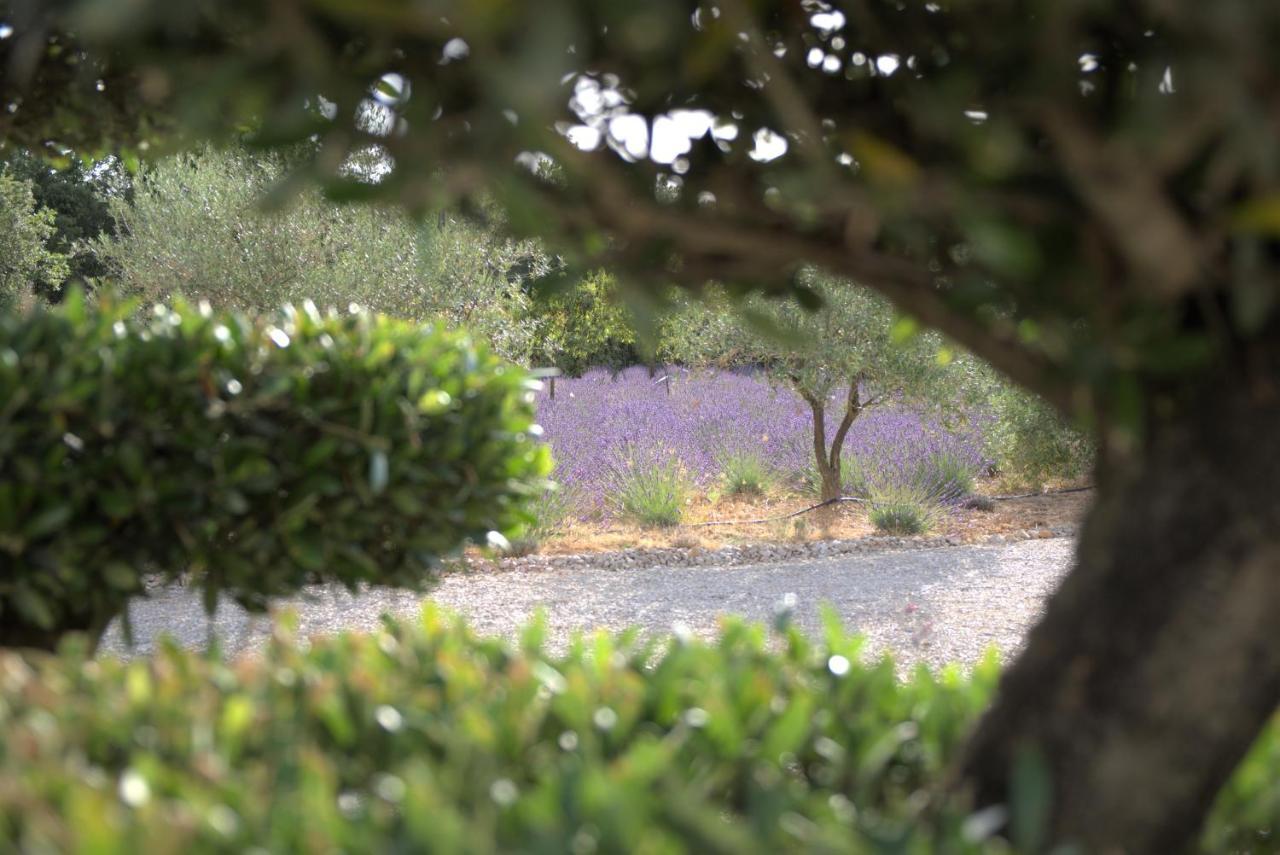 Villa Otilia-Bed And Breakfast-Chambres D'Hotes En Provence Rians  외부 사진